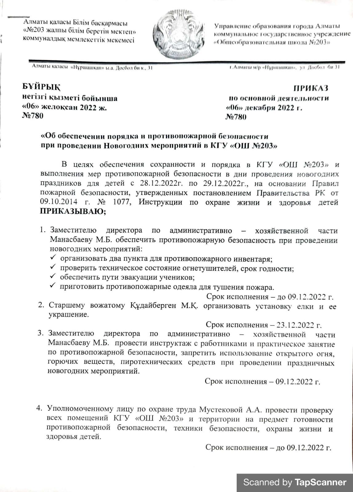"Об обеспечении порядка при проведении Новогодных мероприятий " приказ