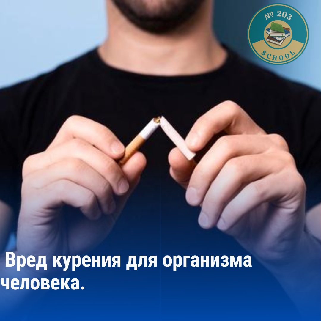 « Вред курения для организма человека»атты тақырыбында әңгіме, пікірталас