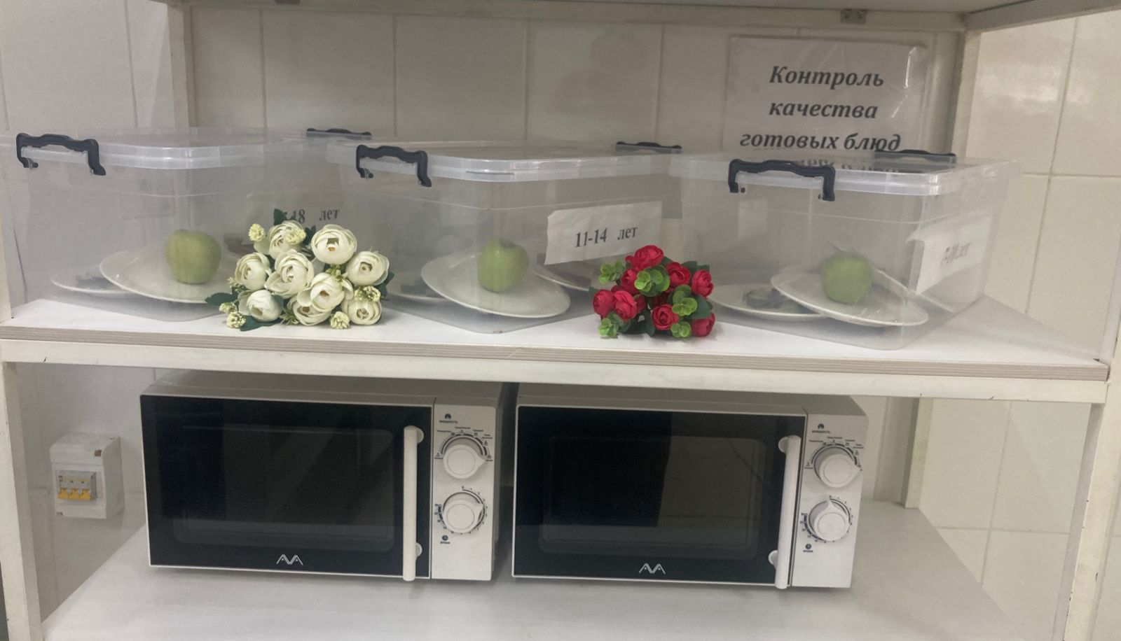 КҮНДЕЛІКТІ МӘЗІР/ЕЖЕДНЕВНОЕ МЕНЮ